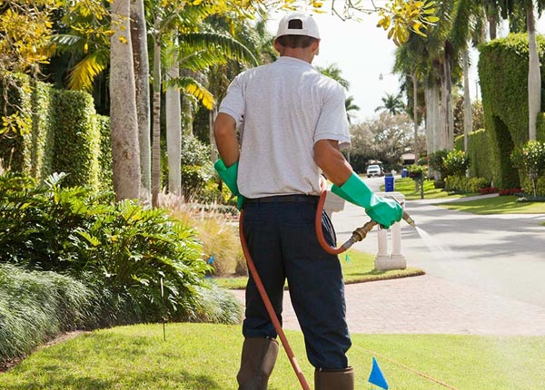About Lihue HI Pest Control